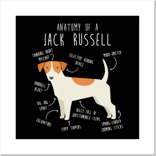 Jack Russell Terrier Dog Anatomy Posters and Art